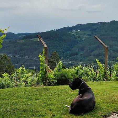 Casa Da Vina - Ribeira Sacra Villa Nogueira De Ramuin Екстериор снимка