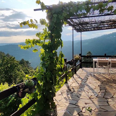 Casa Da Vina - Ribeira Sacra Villa Nogueira De Ramuin Екстериор снимка