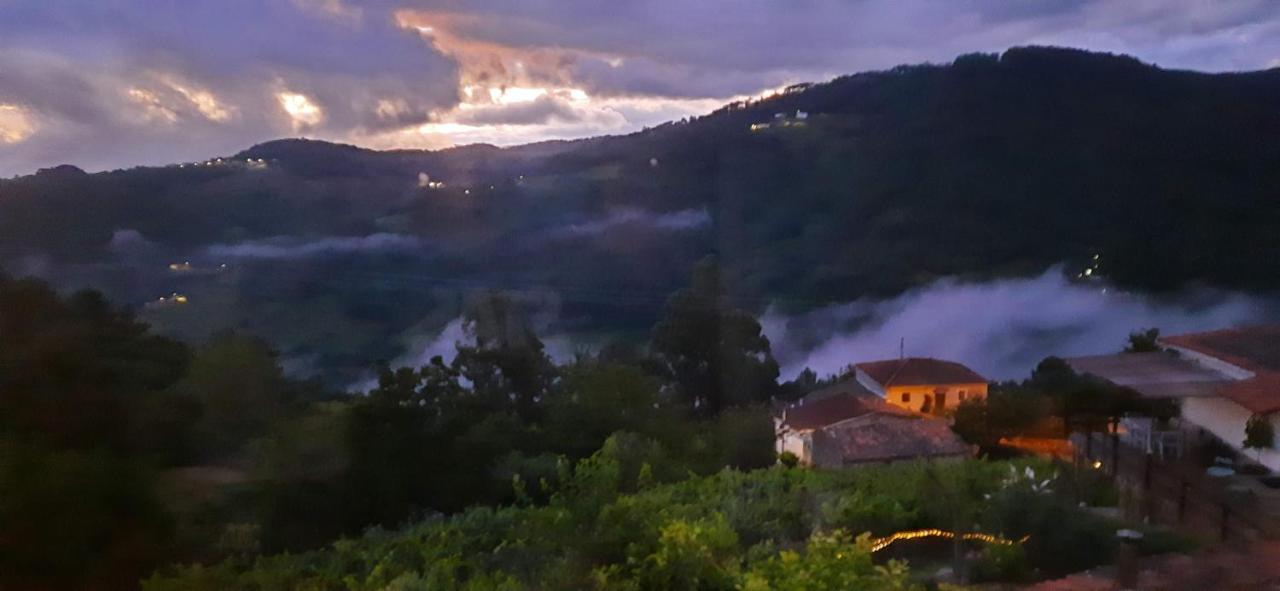 Casa Da Vina - Ribeira Sacra Villa Nogueira De Ramuin Екстериор снимка