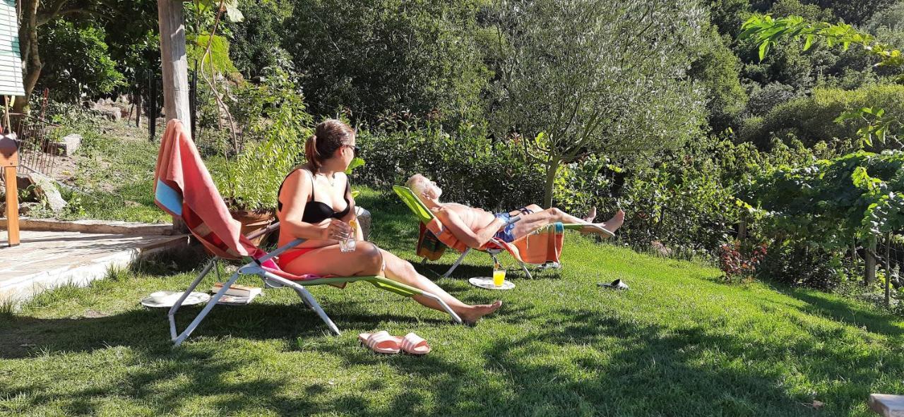 Casa Da Vina - Ribeira Sacra Villa Nogueira De Ramuin Екстериор снимка