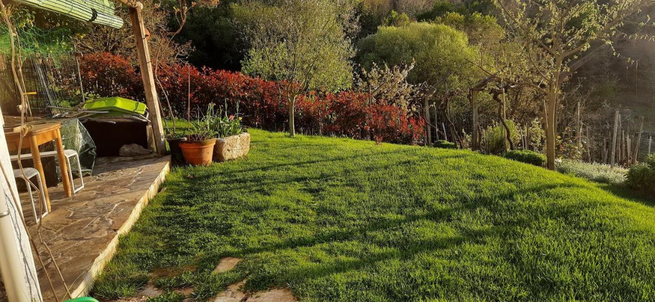 Casa Da Vina - Ribeira Sacra Villa Nogueira De Ramuin Екстериор снимка