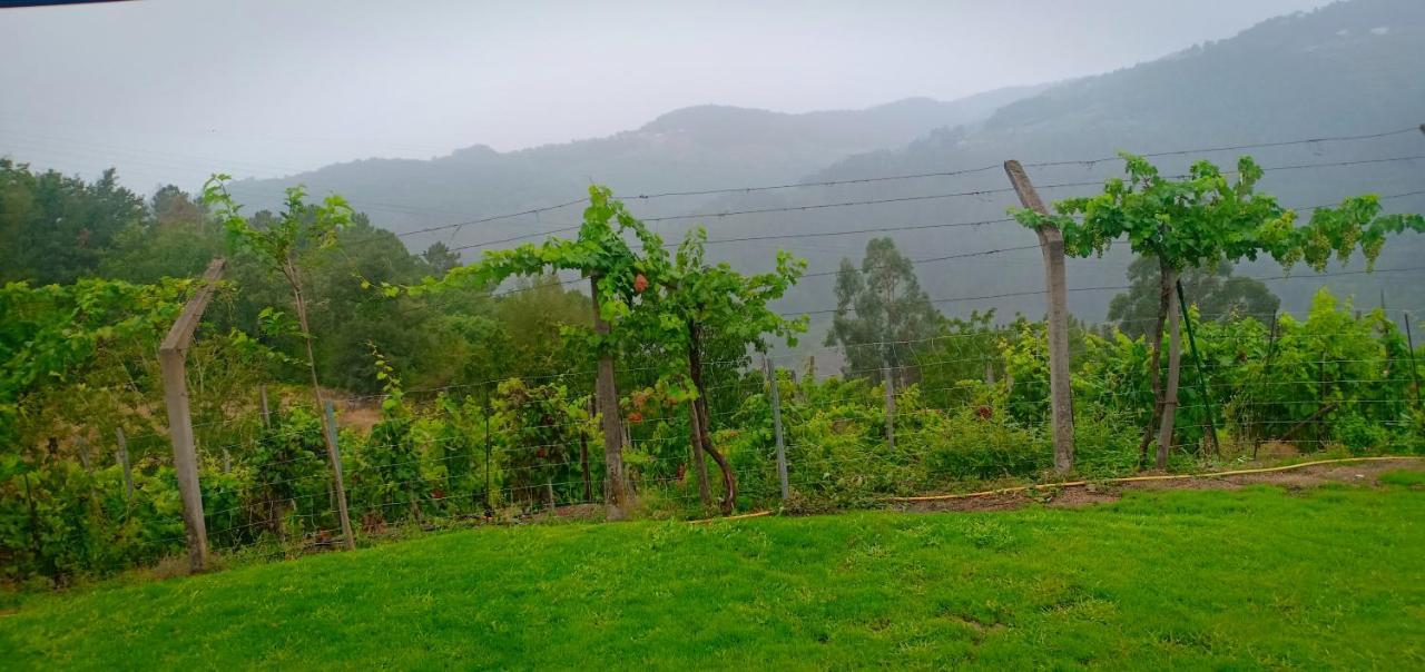 Casa Da Vina - Ribeira Sacra Villa Nogueira De Ramuin Екстериор снимка