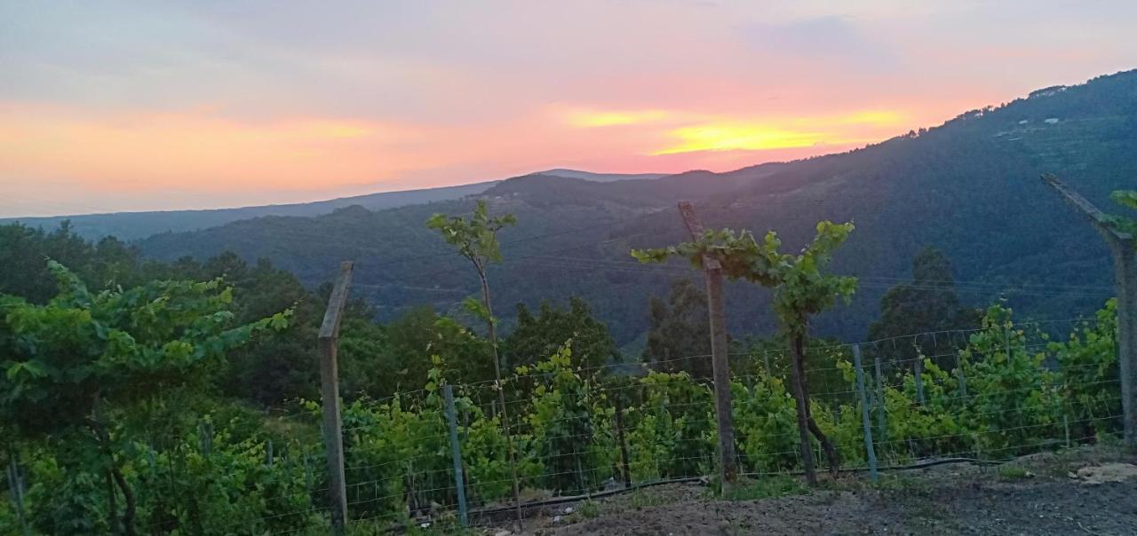 Casa Da Vina - Ribeira Sacra Villa Nogueira De Ramuin Екстериор снимка