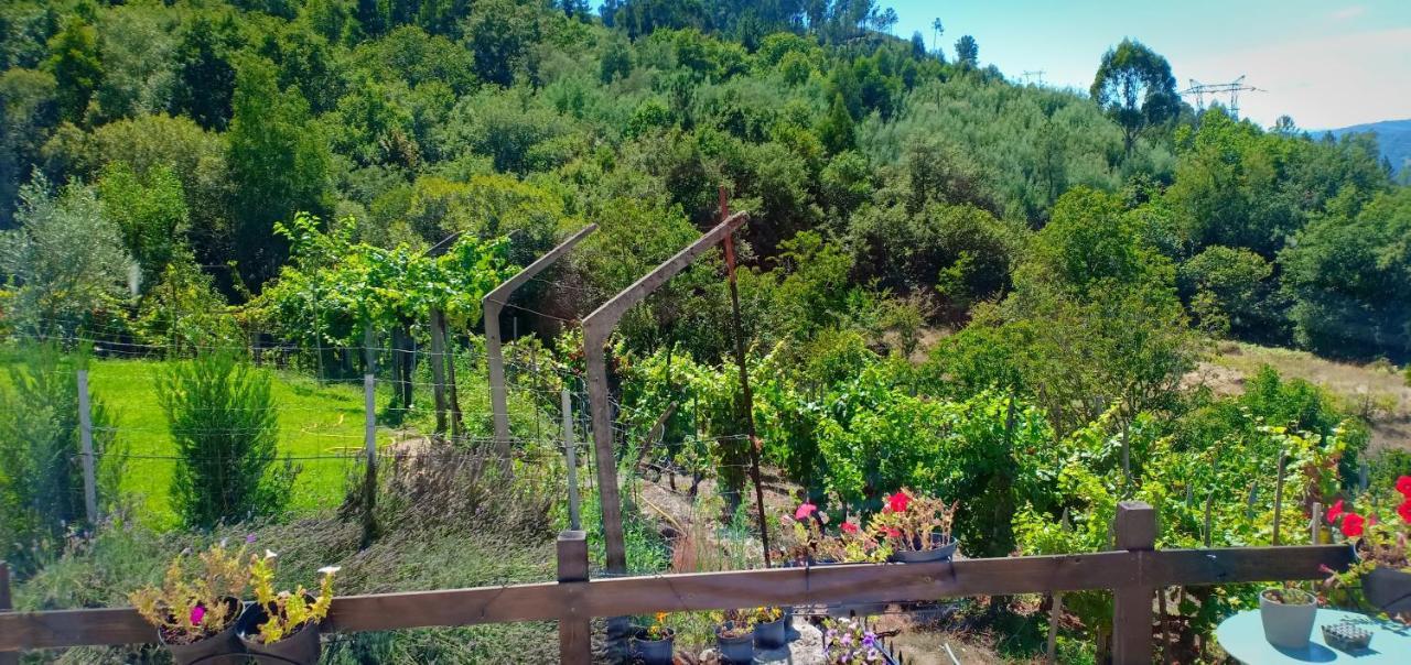Casa Da Vina - Ribeira Sacra Villa Nogueira De Ramuin Екстериор снимка